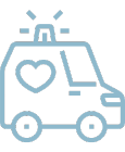Pet Transportation